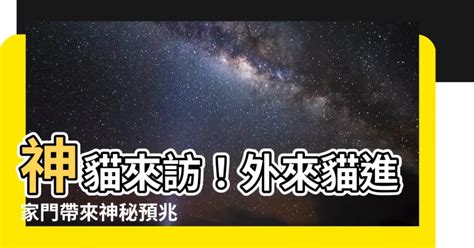 黑貓進家門|【貓進家門】神貓來訪！外來貓進家門帶來神秘預兆